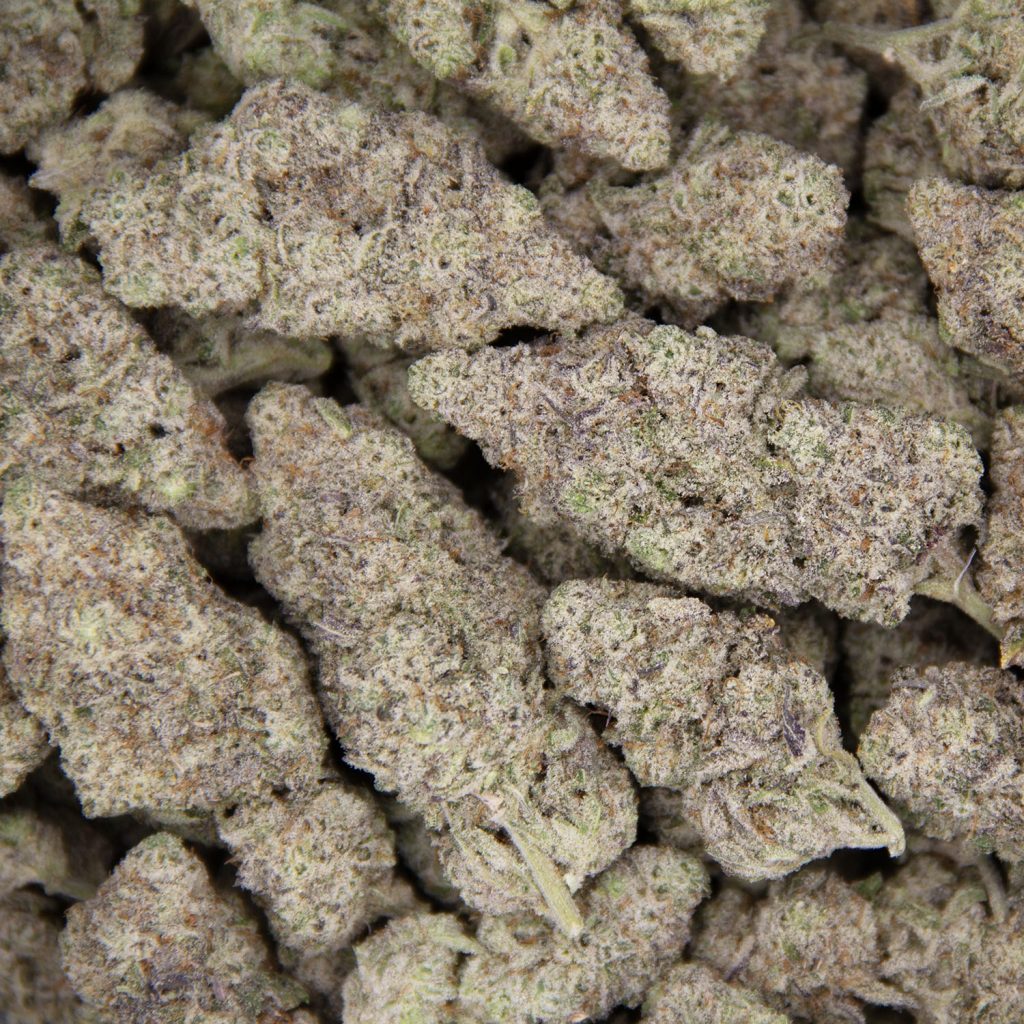 Rocket Chronic