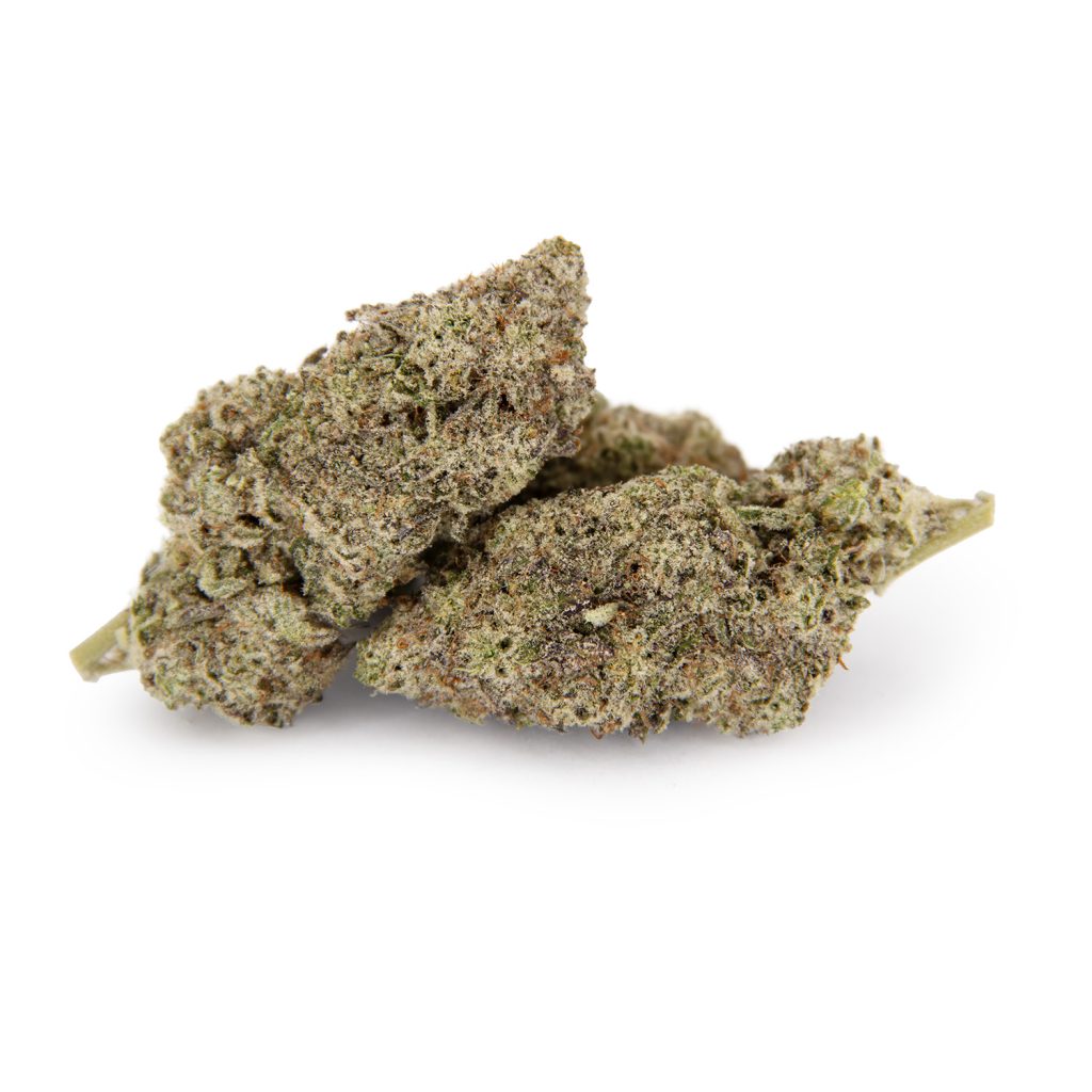 Rocket Chronic
