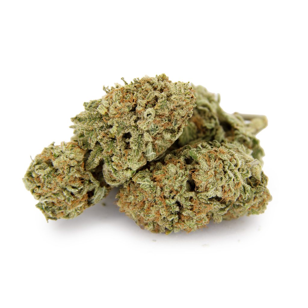 Rocket Chronic