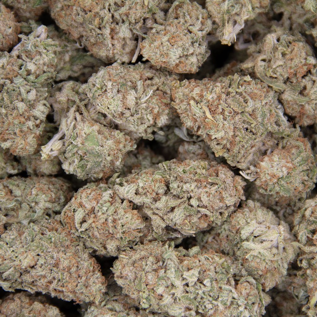 Rocket Chronic