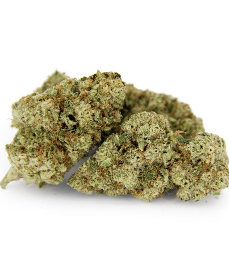 Tutti Frutti AAA