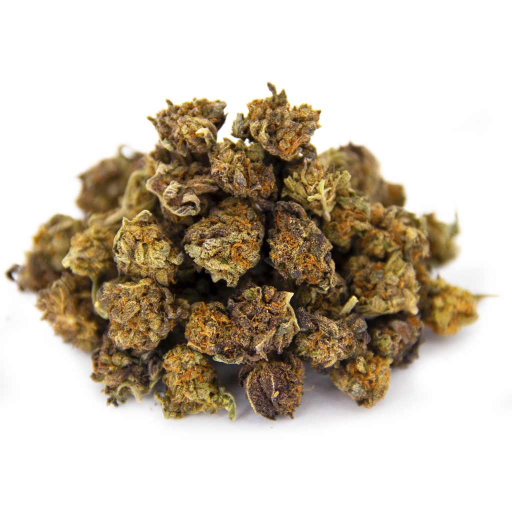 Rocket Chronic