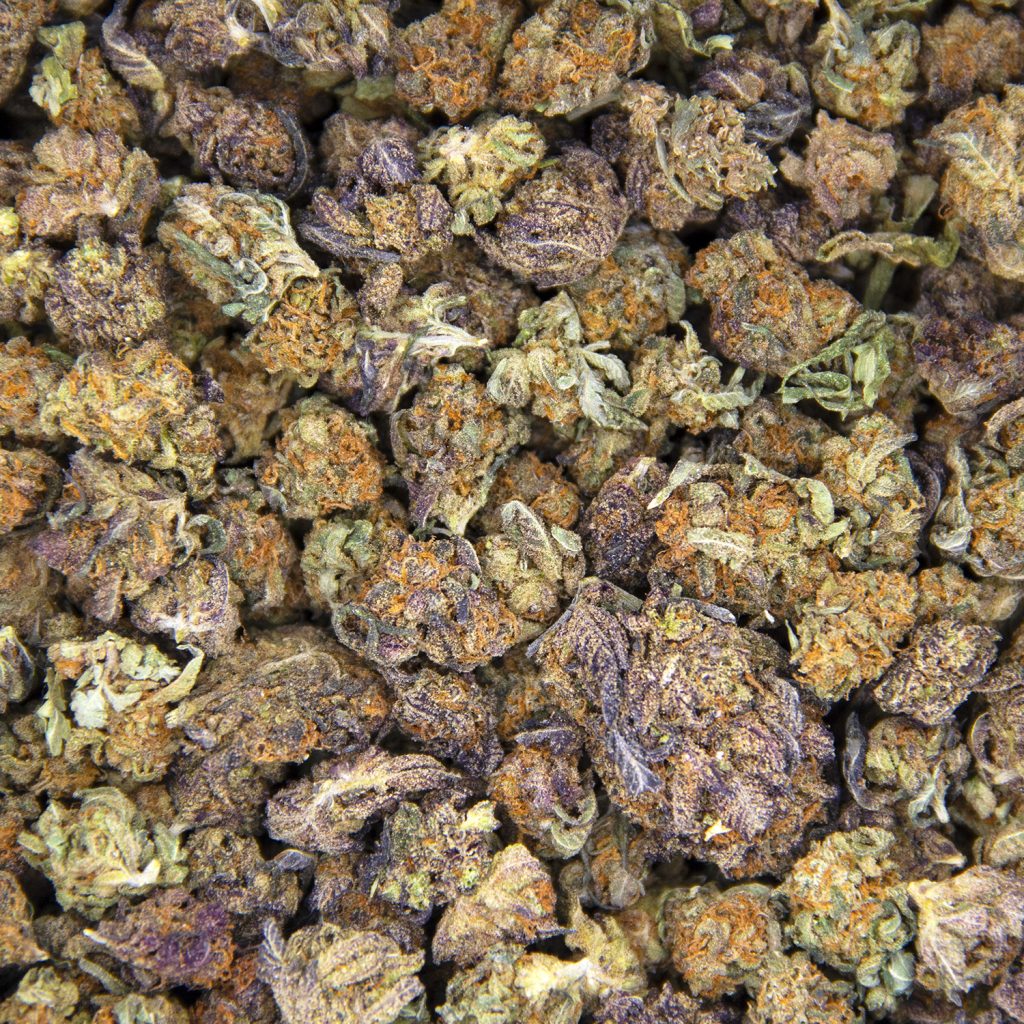 Rocket Chronic