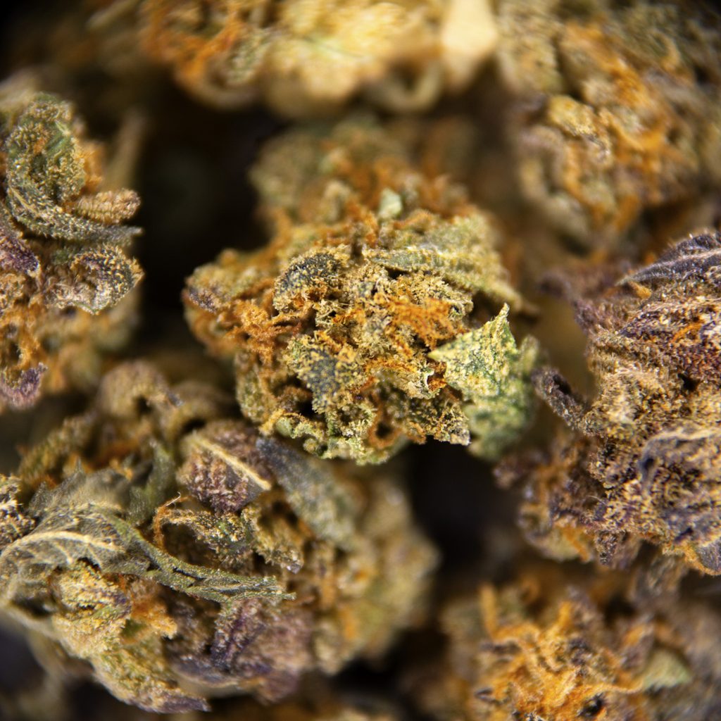 Rocket Chronic