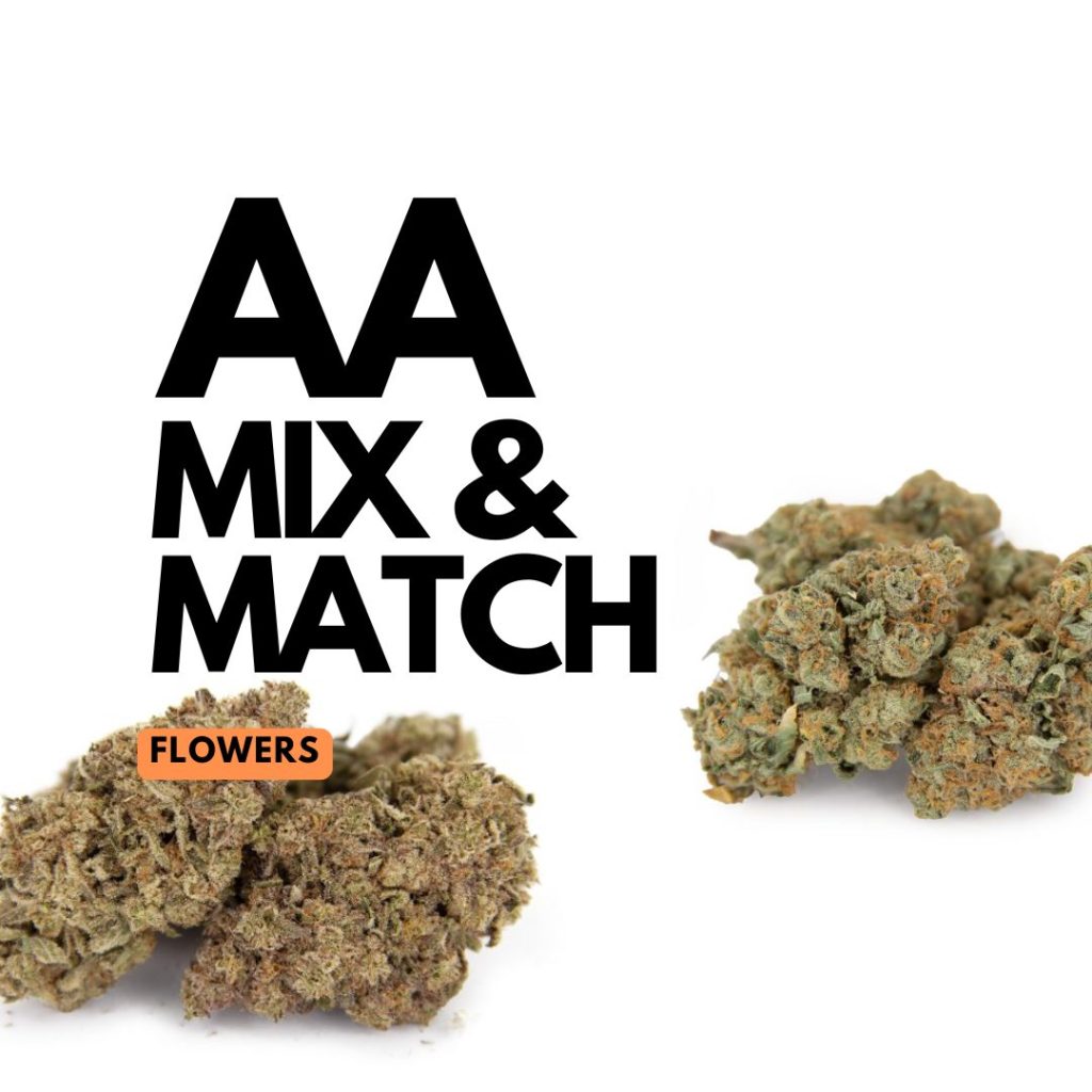 Rocket Chronic