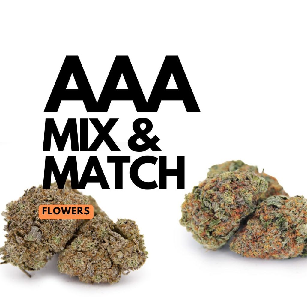 Rocket Chronic