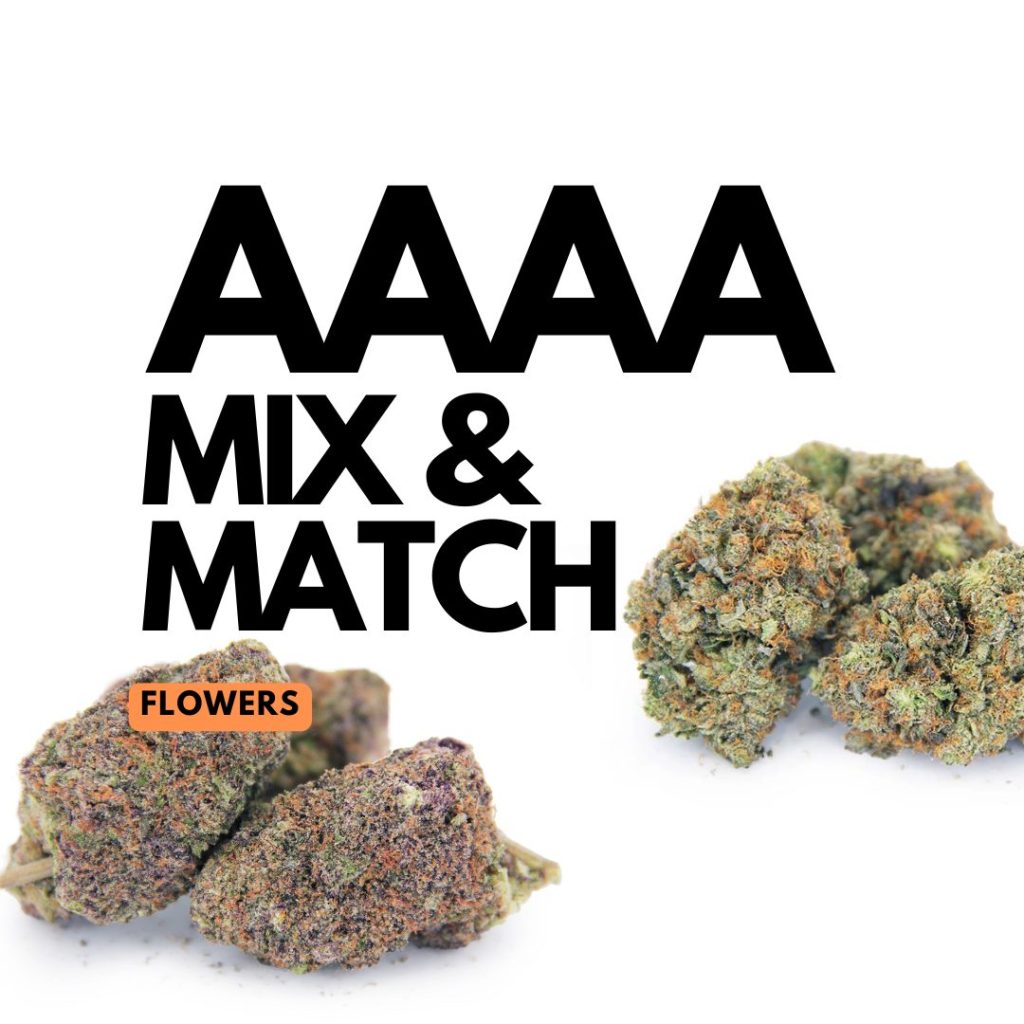 Rocket Chronic
