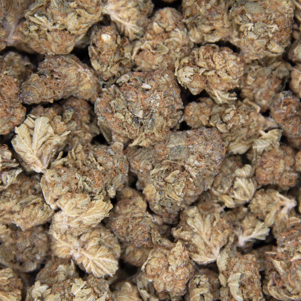 Rocket Chronic