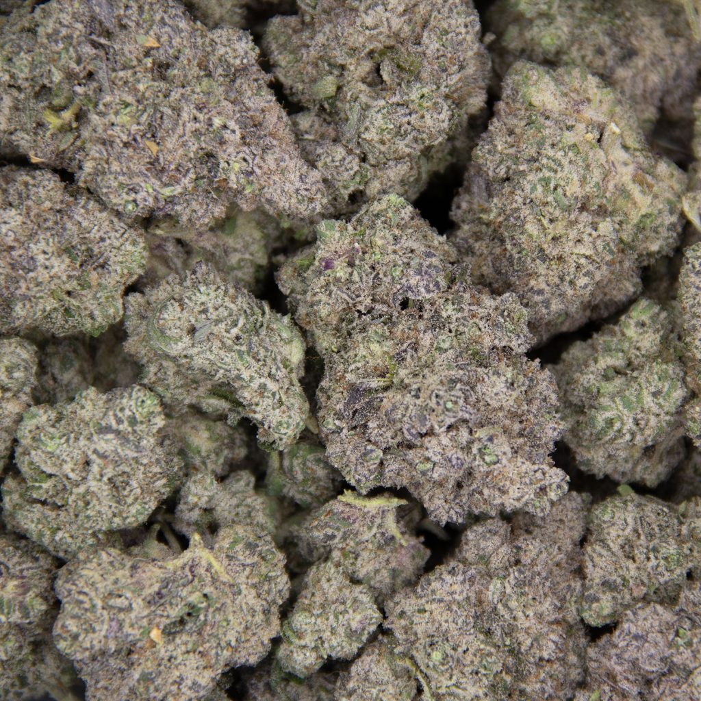 Rocket Chronic