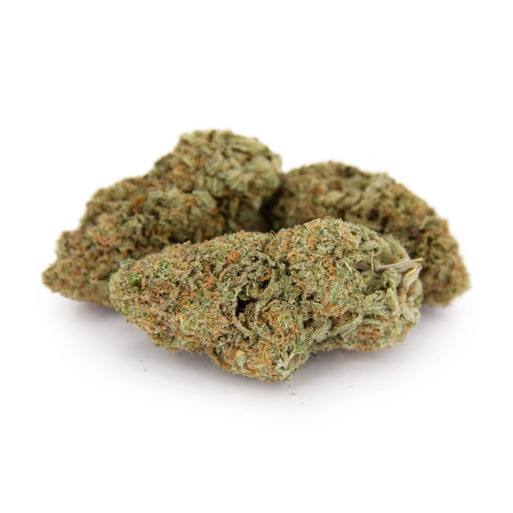 Rocket Chronic