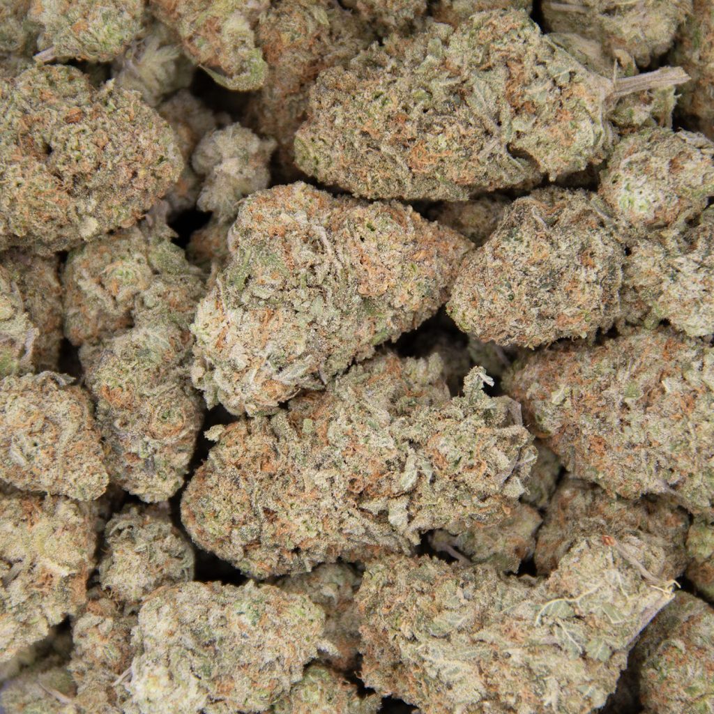 Rocket Chronic
