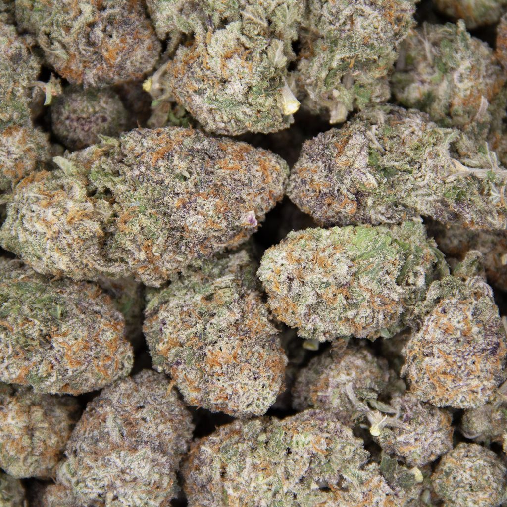 Rocket Chronic