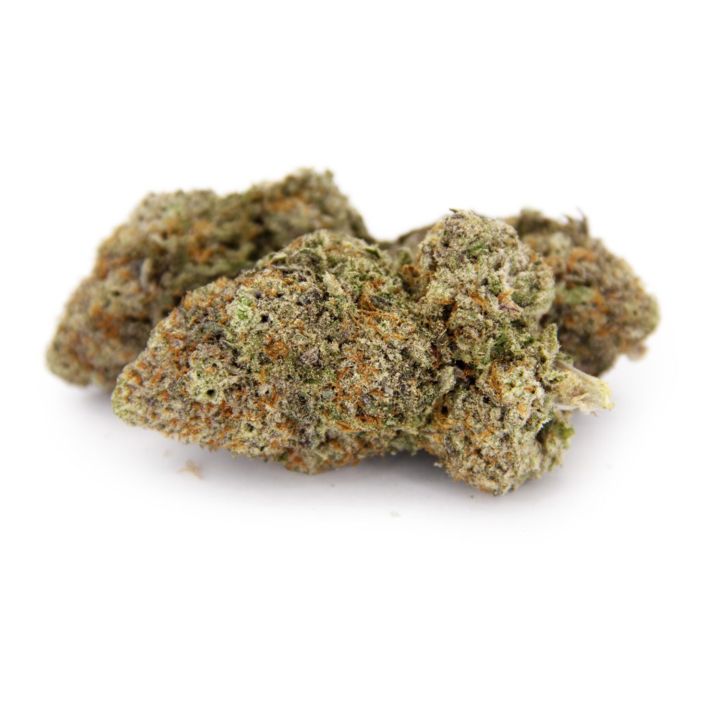 Rocket Chronic
