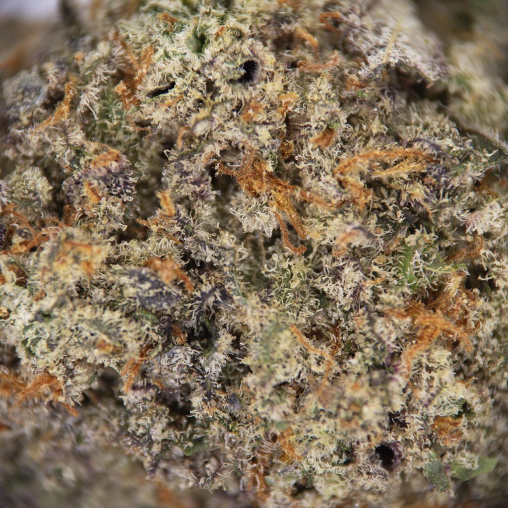 Rocket Chronic