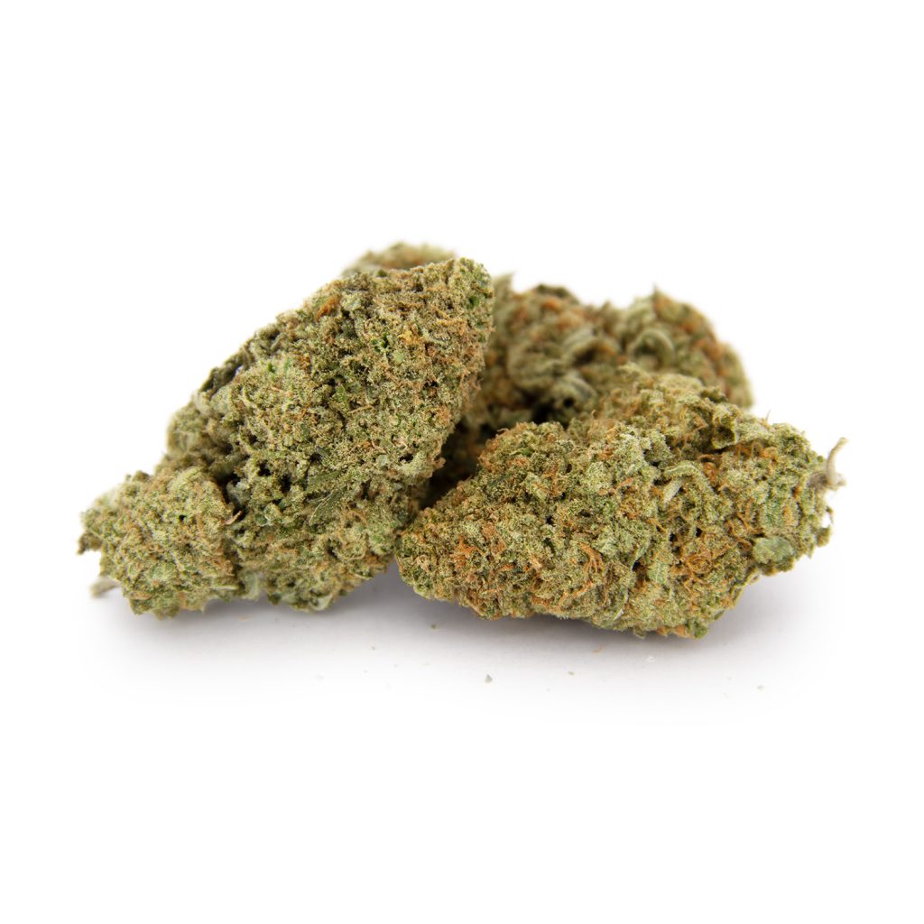 Rocket Chronic