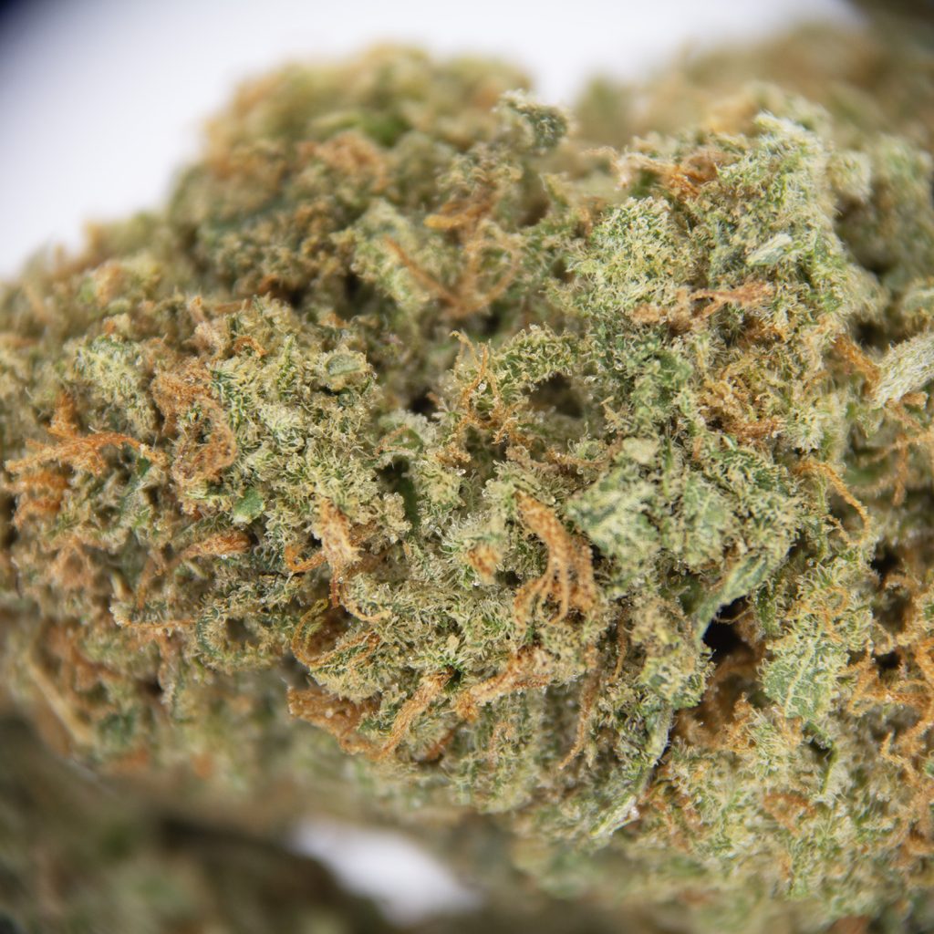 Rocket Chronic
