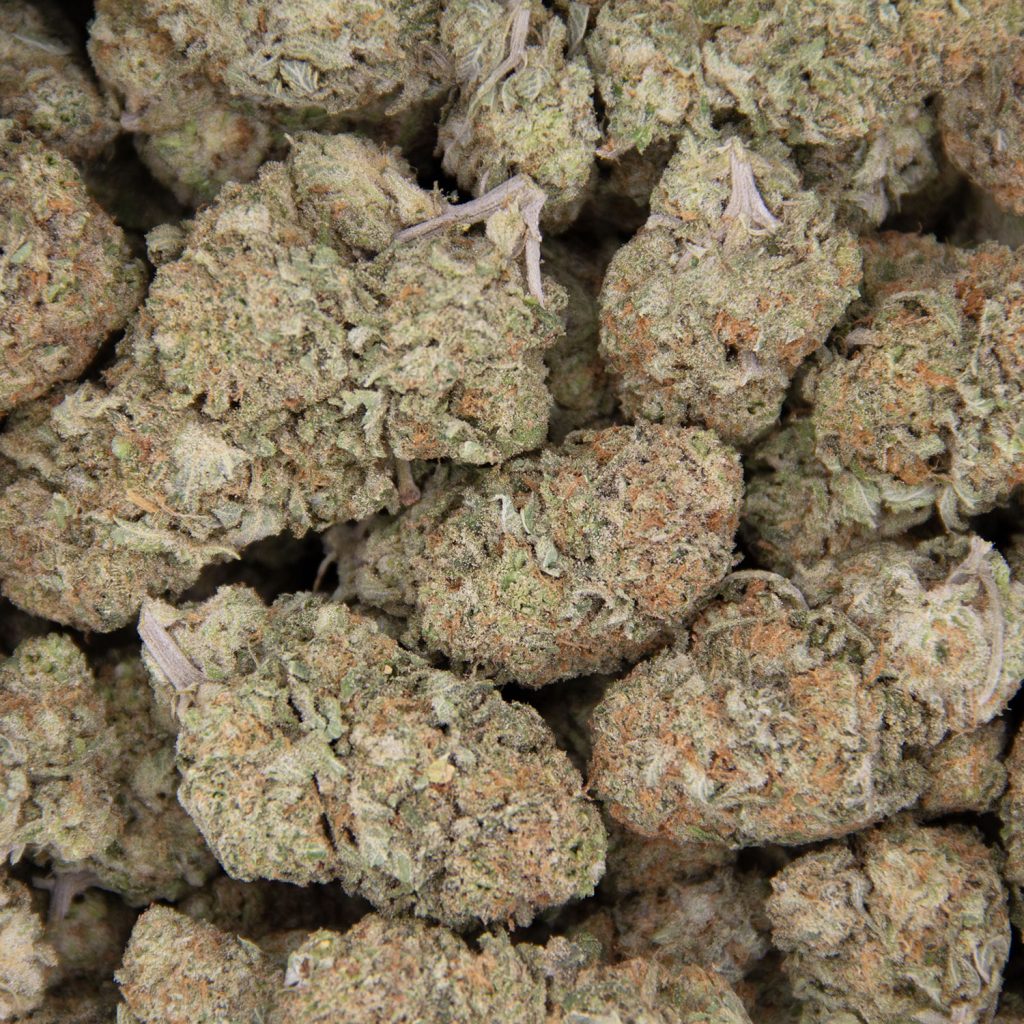 Rocket Chronic