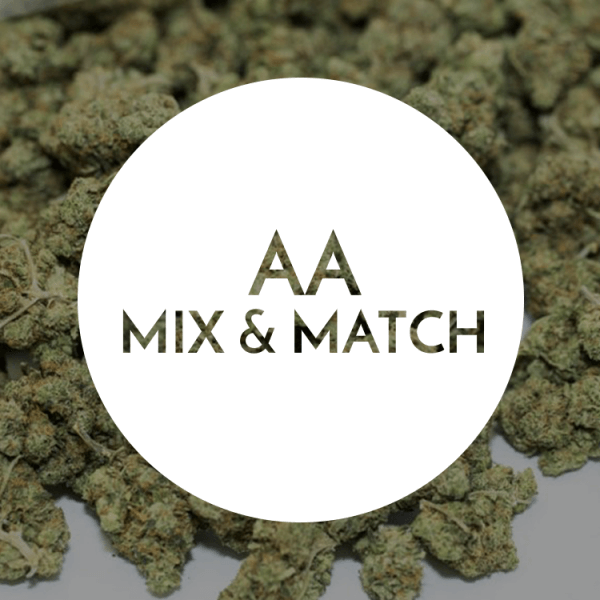 Rocket Chronic