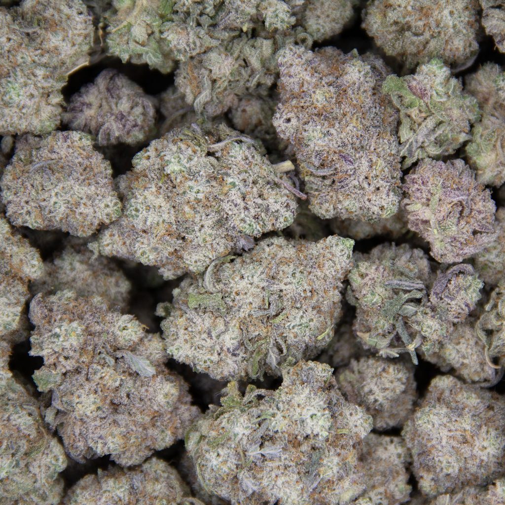 Rocket Chronic