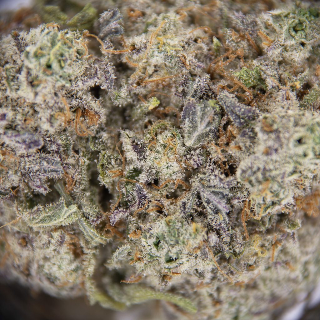 Rocket Chronic