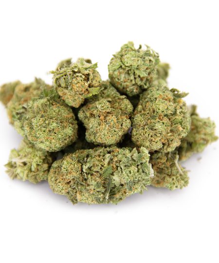 GG4 (mediums) AA