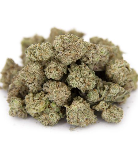 Gelato (smalls) AA