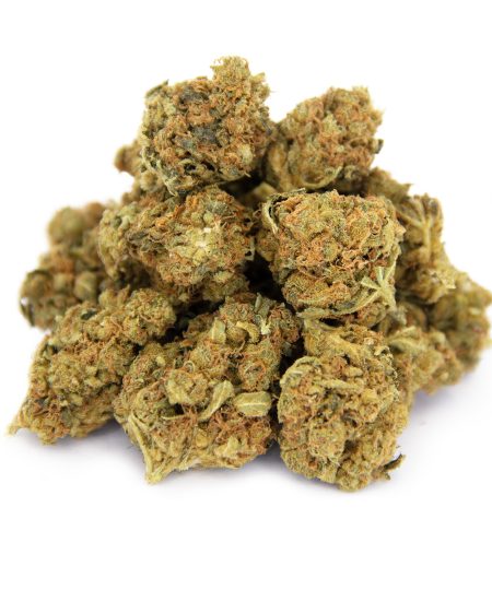 White Shark AA