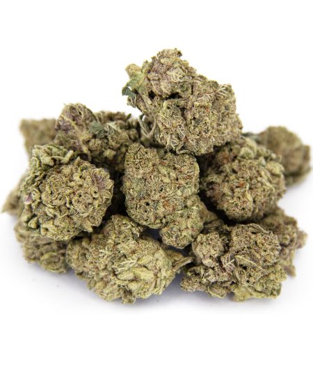 Zookies (mediums) AA
