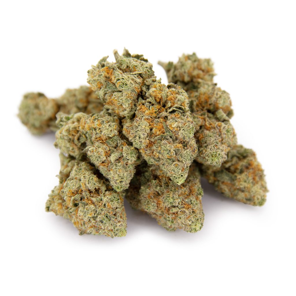 Rocket Chronic