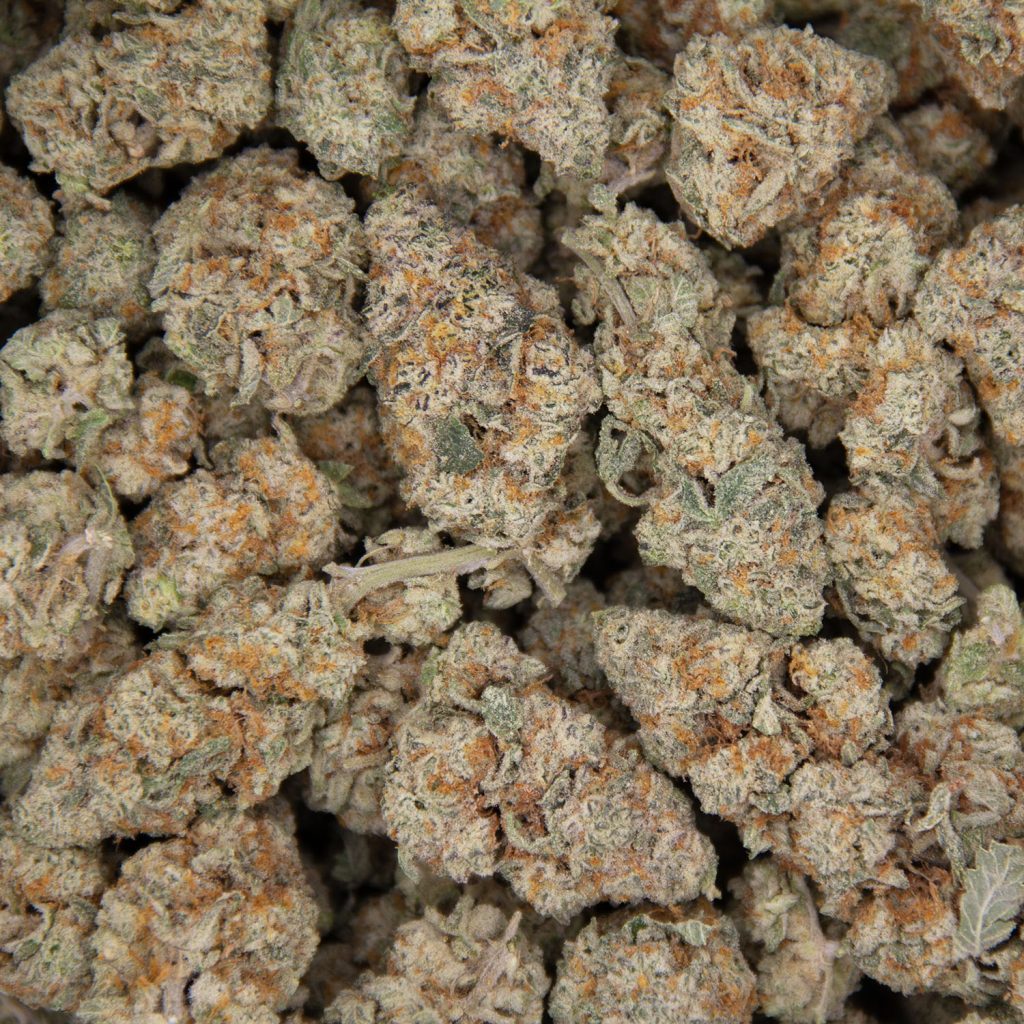 Rocket Chronic