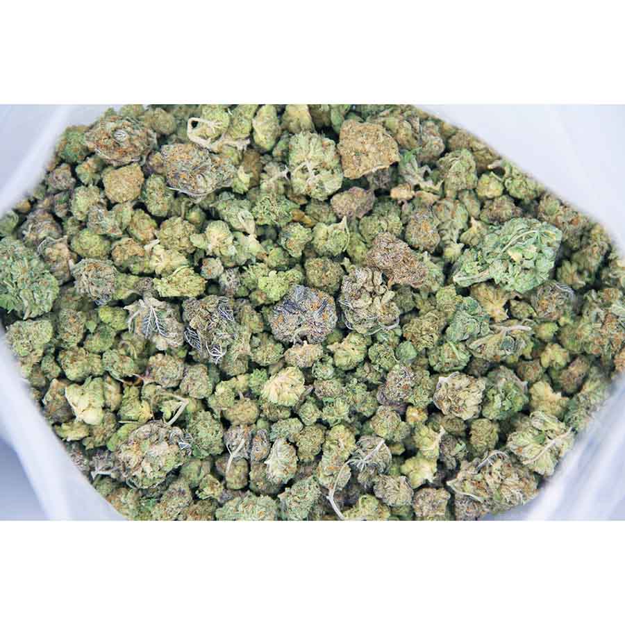 Rocket Chronic