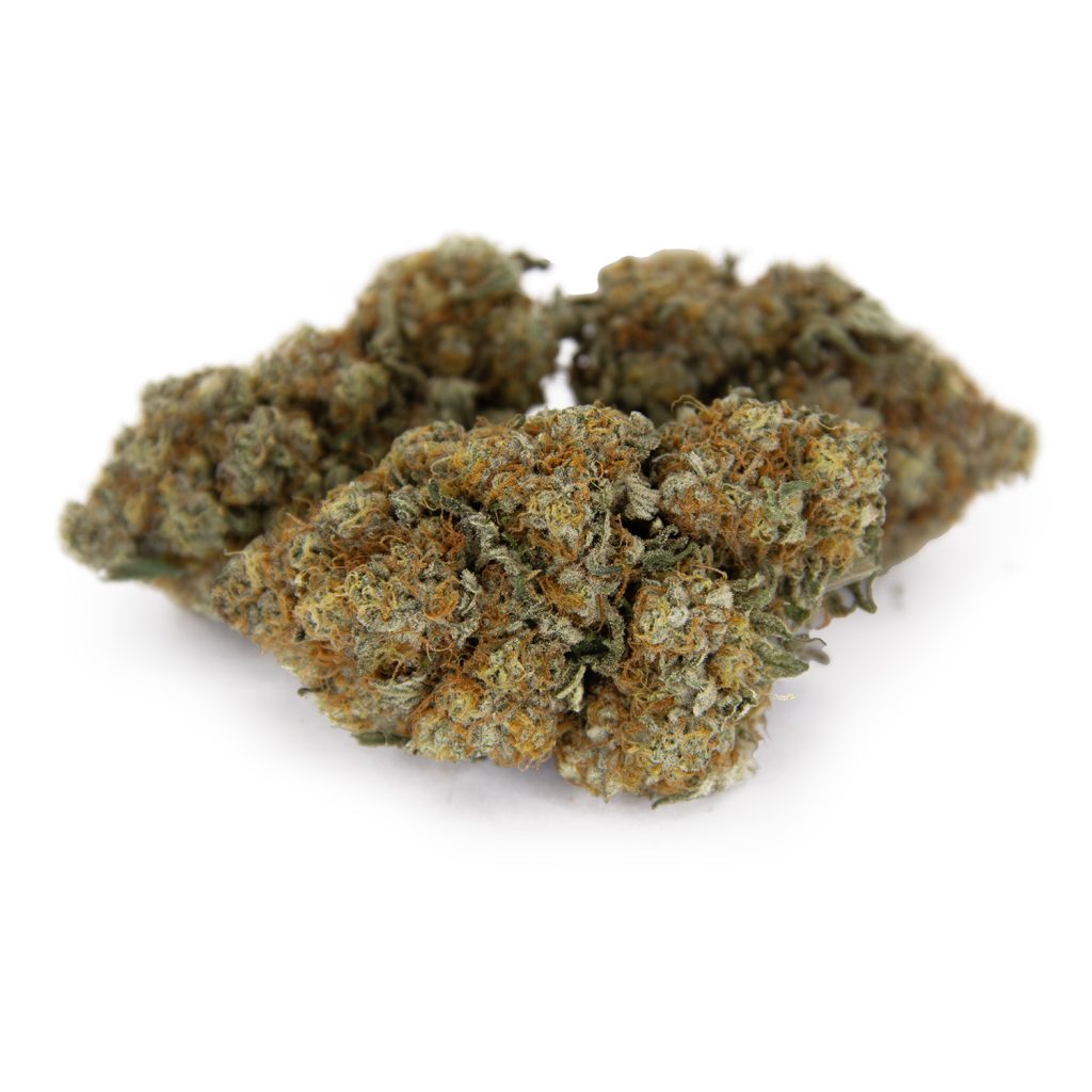 Rocket Chronic