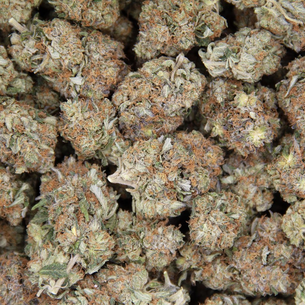 Rocket Chronic
