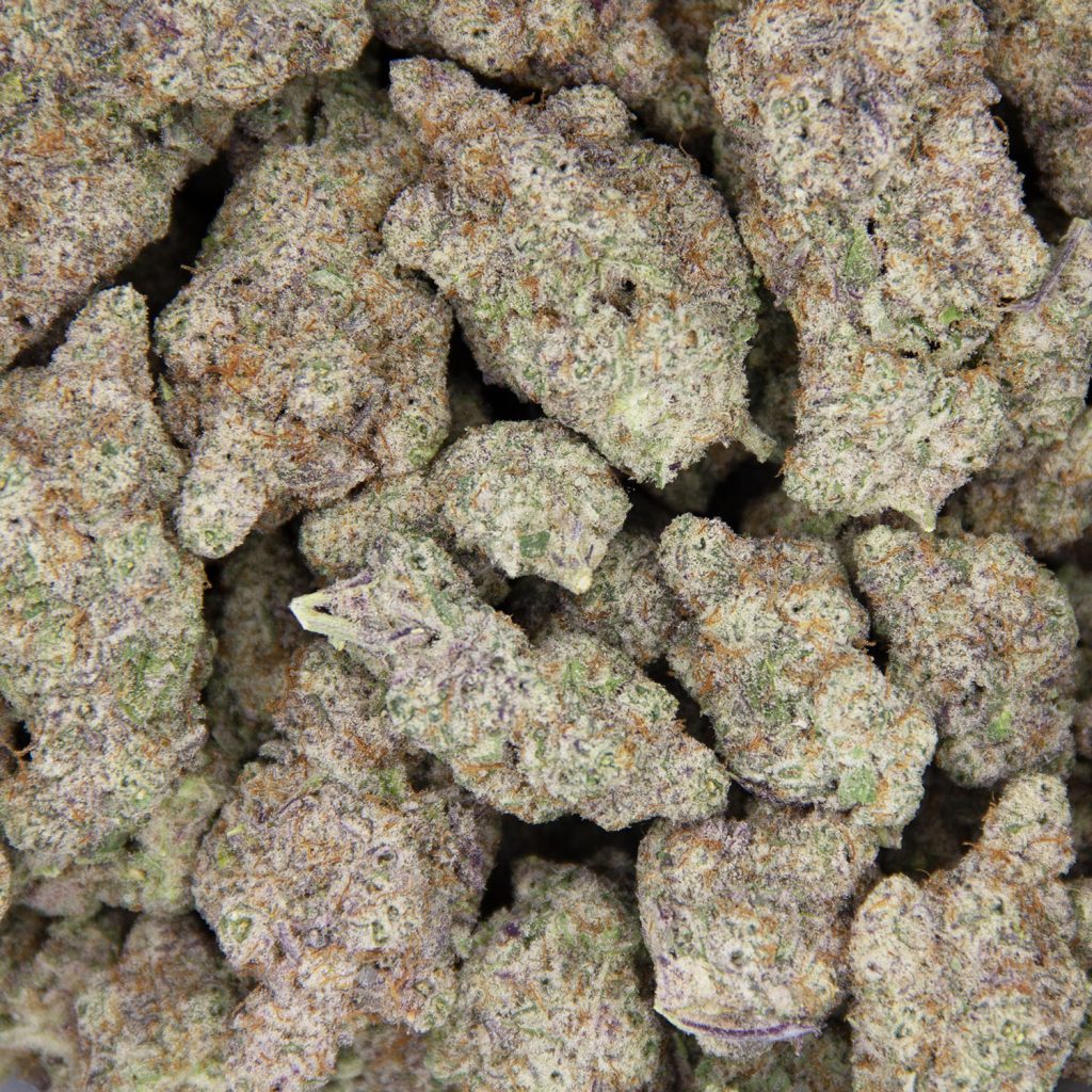 Rocket Chronic