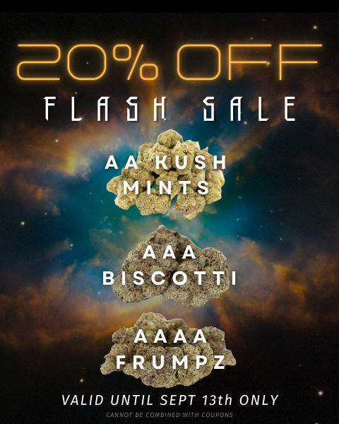 Rocket Chronic