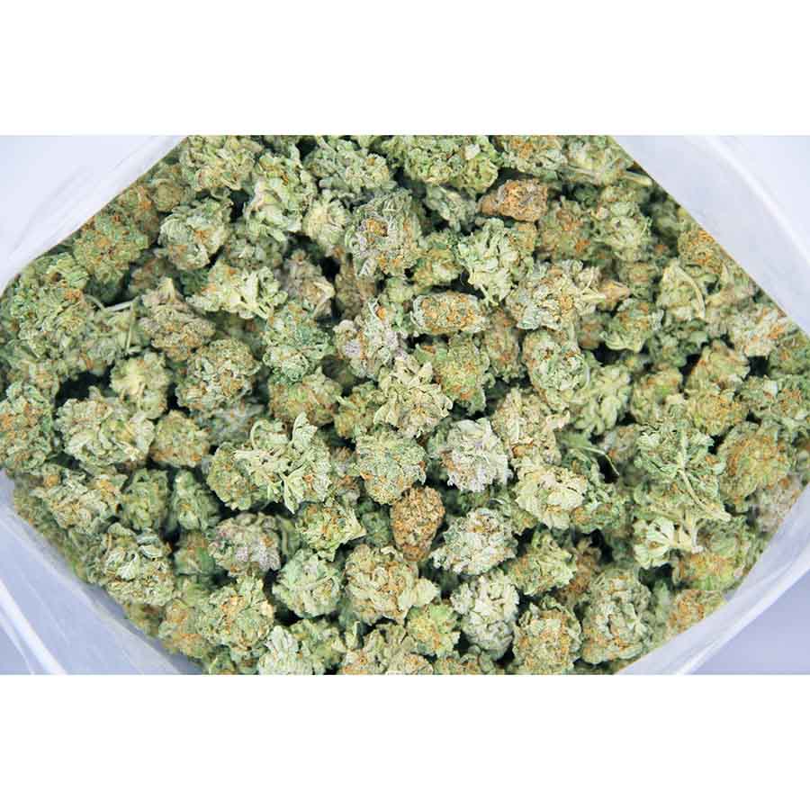 Rocket Chronic