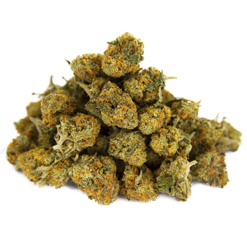Rocket Chronic