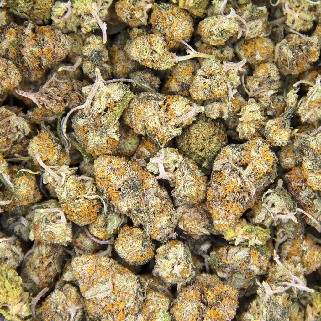 Rocket Chronic