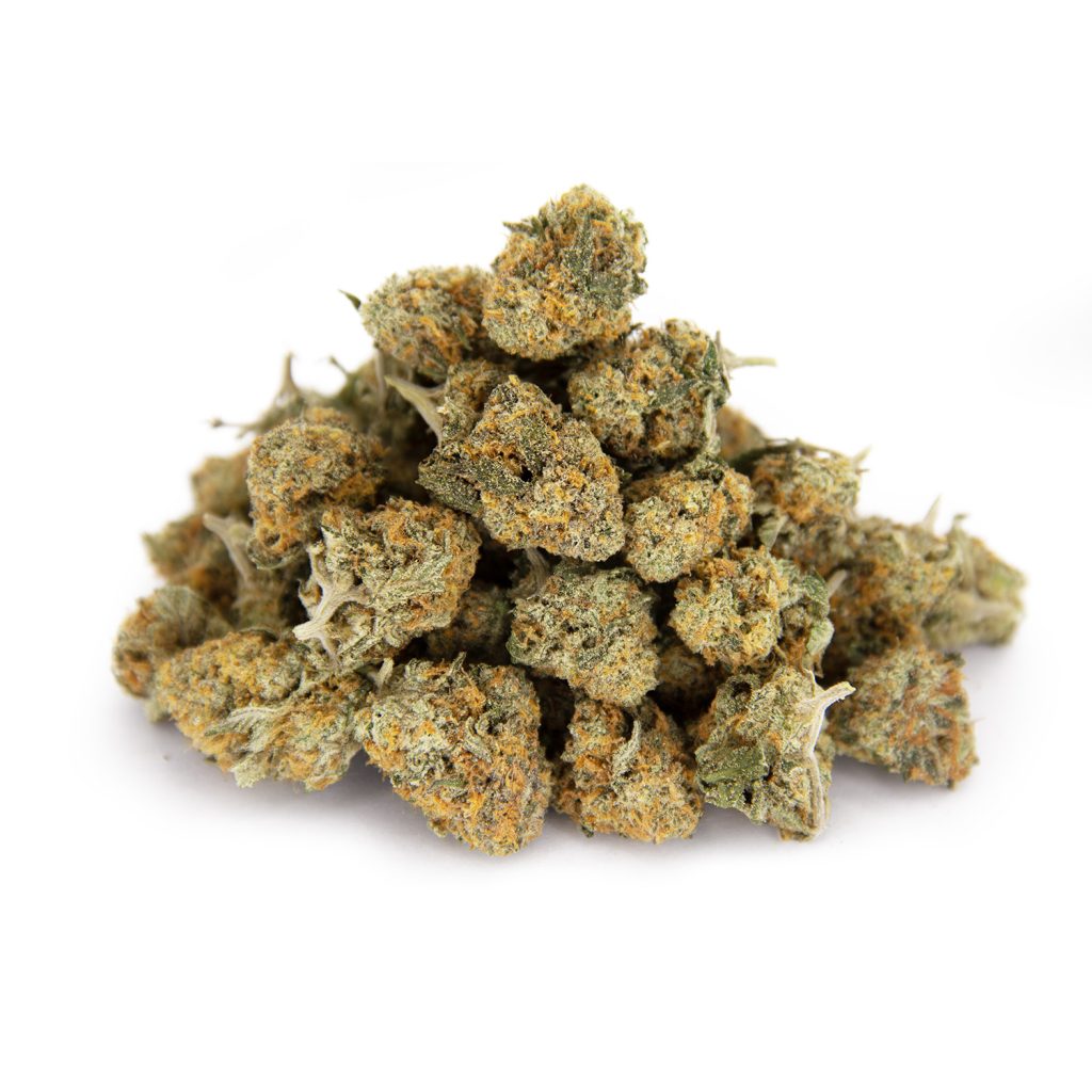 Rocket Chronic