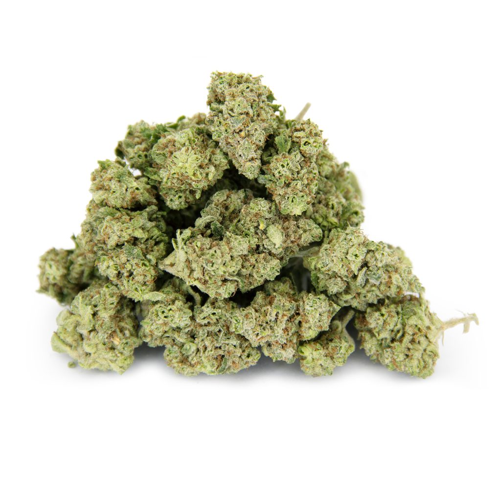 Rocket Chronic