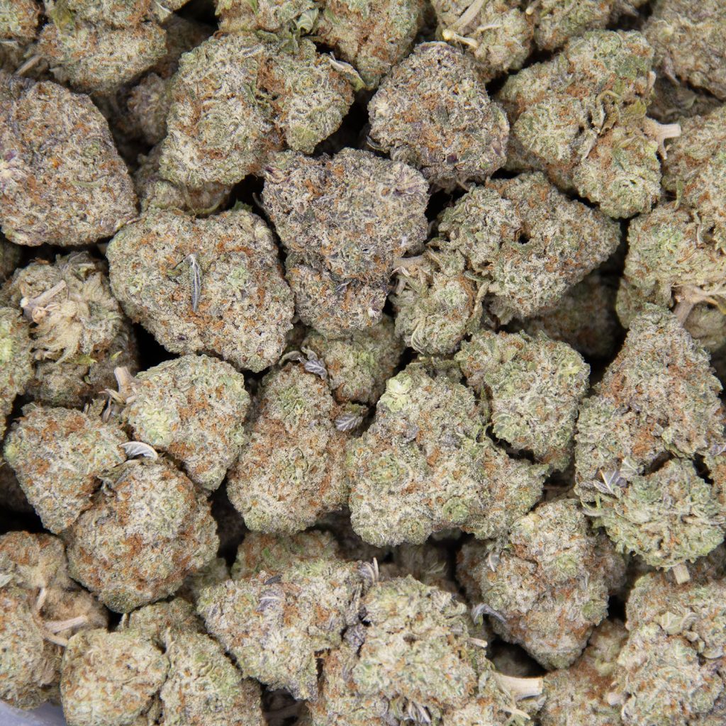 Rocket Chronic