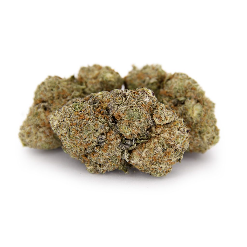 Rocket Chronic