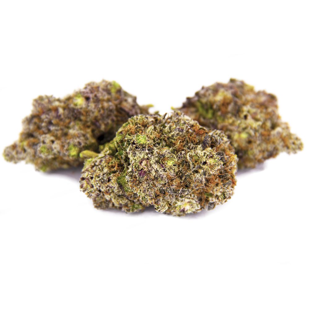 Rocket Chronic