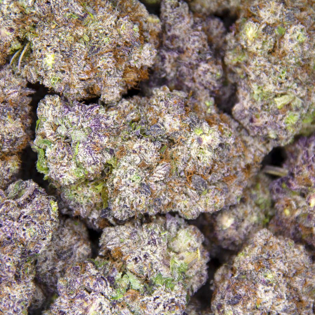 Rocket Chronic