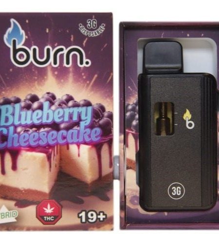 Burn Disposable - 3 Gram Vapes - Blueberry Cheesecake
