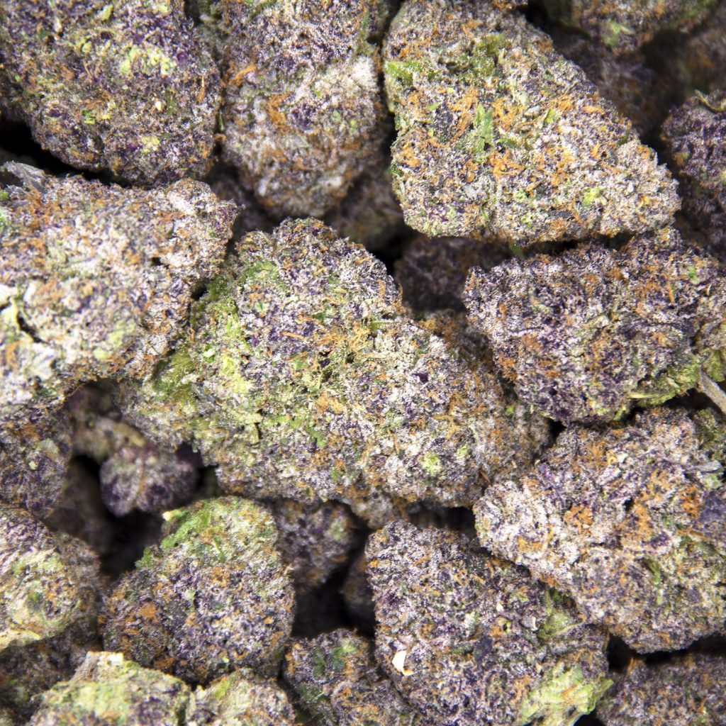 Rocket Chronic