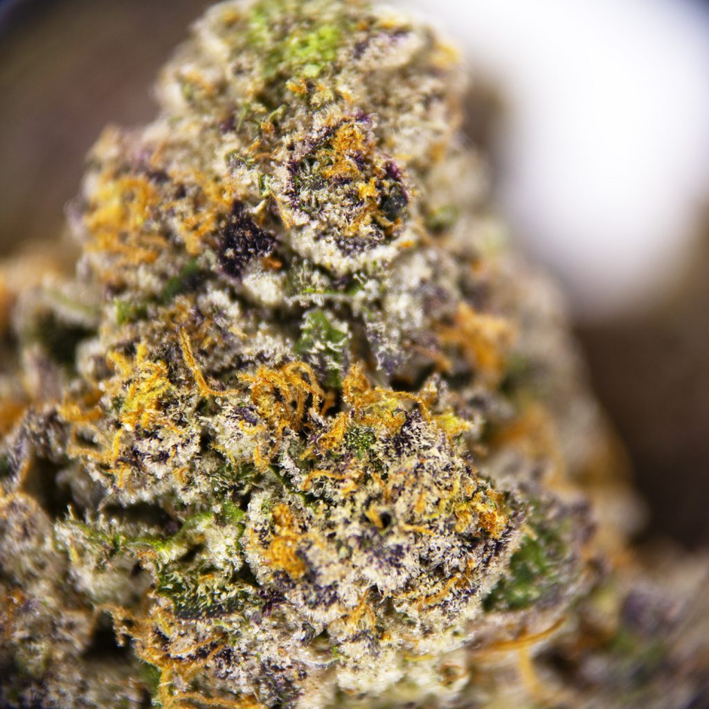 Rocket Chronic