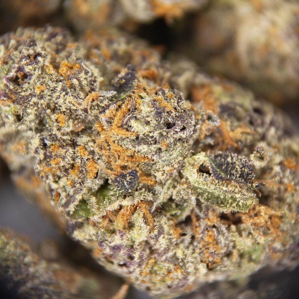 Rocket Chronic