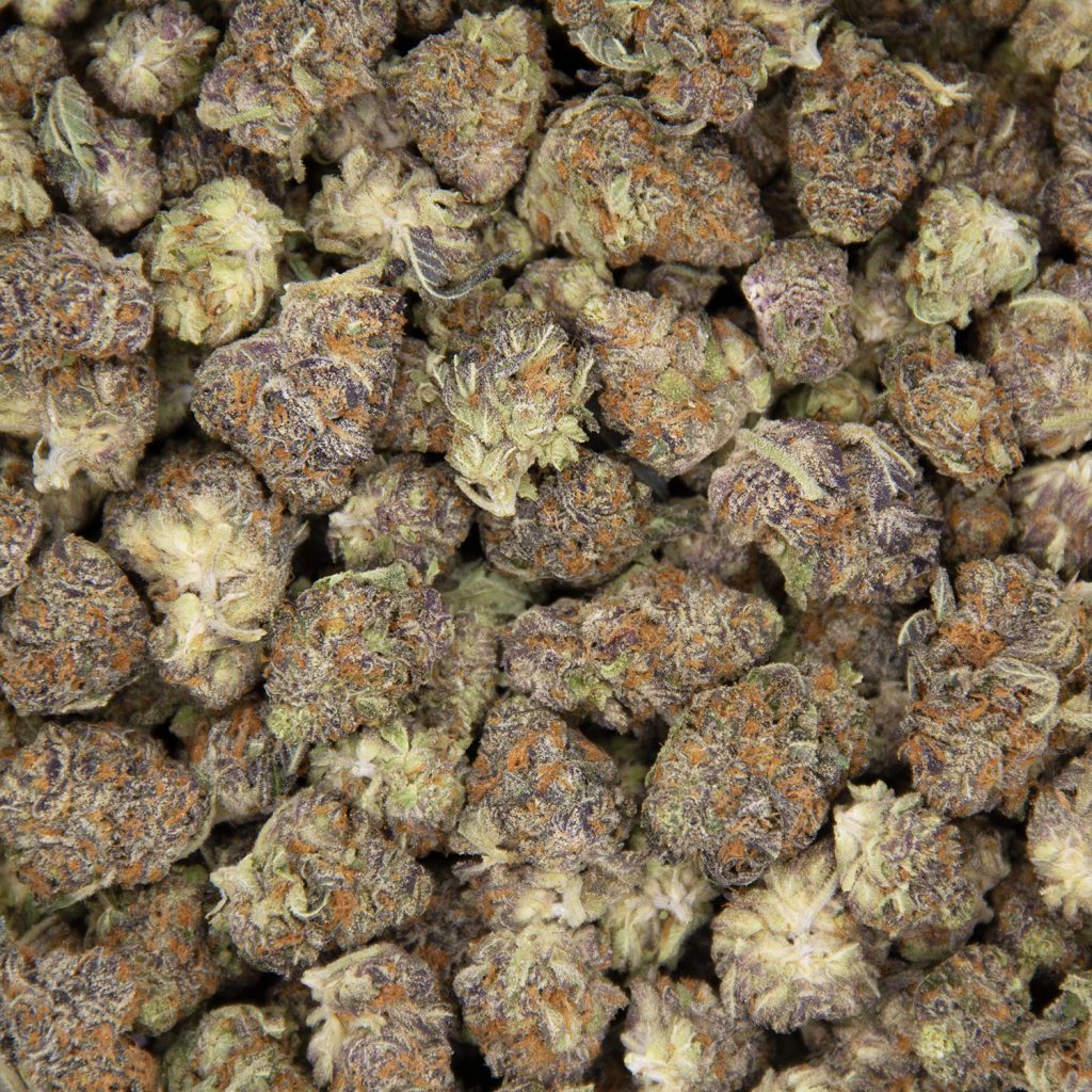 Rocket Chronic