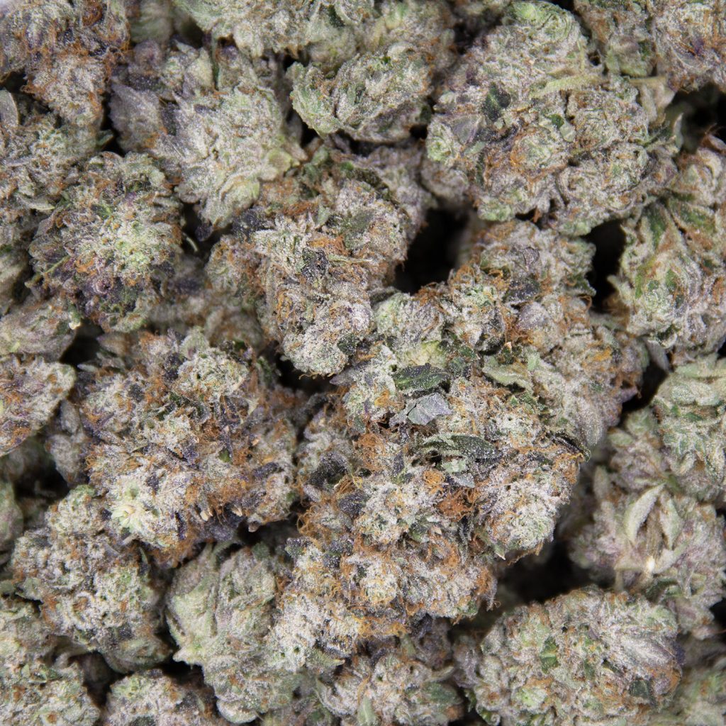 Rocket Chronic